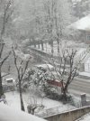 IMG_20260106_112003.jpg