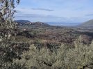 20260131_105928.jpg