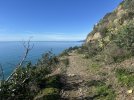 IMG_5061.jpeg