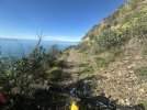 IMG_5062.jpeg