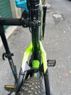 IMG_3951.jpeg