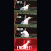 1771420681480.png
