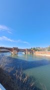 20260221_121754.jpg