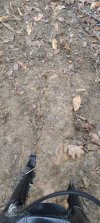 1000100587.jpg