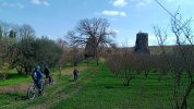 IMG_20260228_132743_356.jpg