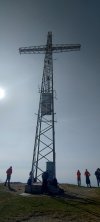 1000106774.jpg