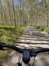 IMG_3667.jpeg