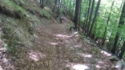vlcsnap-2026-05-03-08h58m19s694.jpg