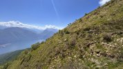 IMG_0641.jpeg