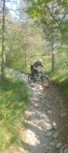1000117464.jpg