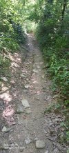 20260524_160405.jpg