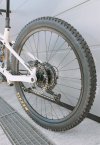 orbea wild fox kashima bosch gen5.jpg
