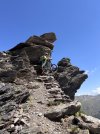 IMG_0954.jpeg