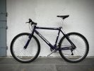 IMG_5894.jpeg