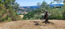 IMG-20260705-WA0004.jpg