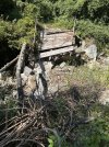 IMG_4557.jpeg