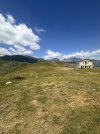 IMG_4545.jpeg