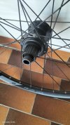IMG20260714105637.jpg