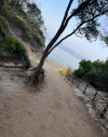 Immagine 2026-07-20 160010.png