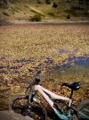 IMG_4856.jpeg