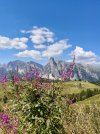 IMG_1438.jpeg