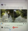 IMG_4060.jpeg