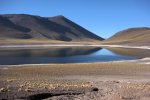 Laguna Miscanti.jpg