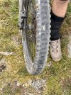 IMG_2022.jpeg