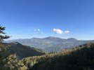 IMG_6429.jpeg