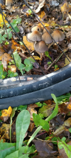 1792925570185.png 1792925570185.png