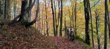 25.10.26.jpg 25.10.26.jpg