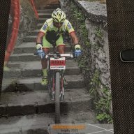 il capo