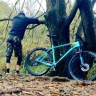 Dandlor