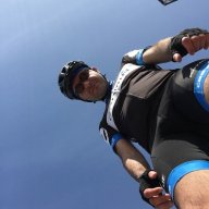 alibert81