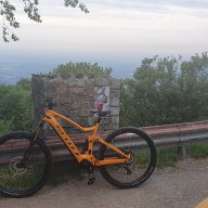 mauro83