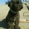Rolly