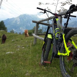 Malga Gazza.jpg