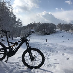 Kenevo neve