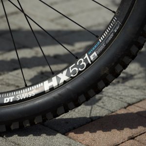 Ruota ant. DT Swiss HX 531- 29 - Mozzo Hope EVO PRO 4