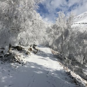 Kenevo