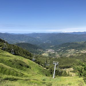 282FA493-D07D-49BD-83A5-AB3CCC3D62A0.jpeg