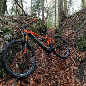MTB_20201212.jpg