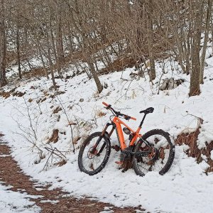 MTB_20201212_2.jpg