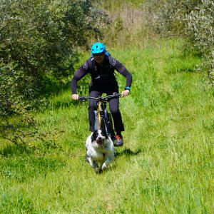 Dog Joring PG