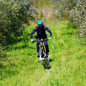Dog Joring PG