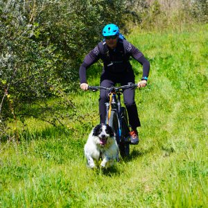 Dog Joring PG