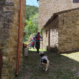 Castelbuono