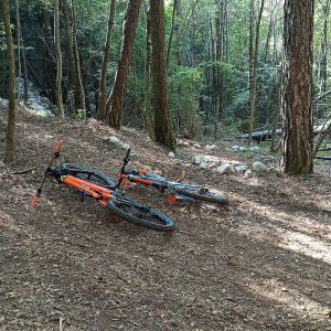 IMG_20211010_114125.jpg