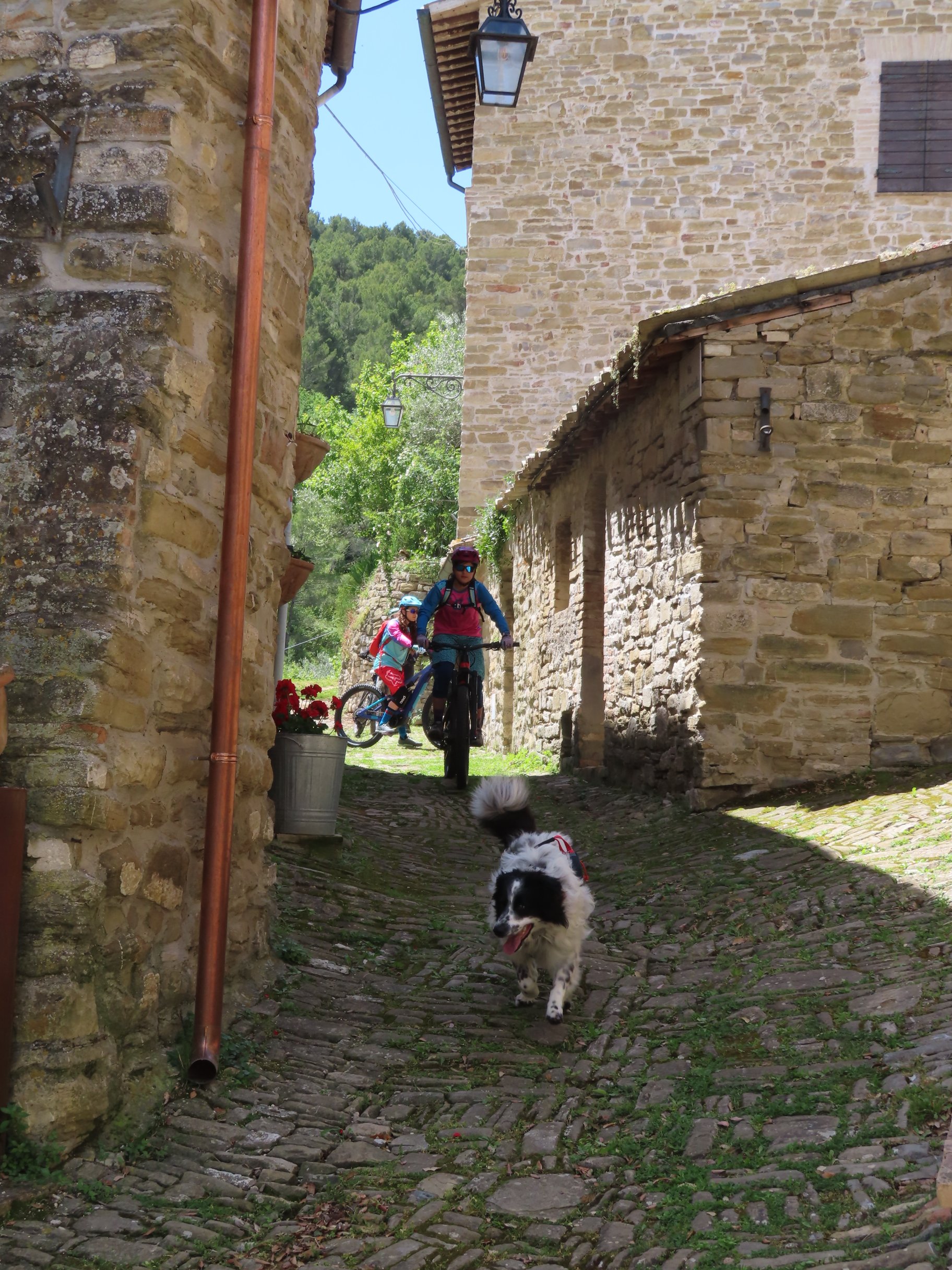 Castelbuono