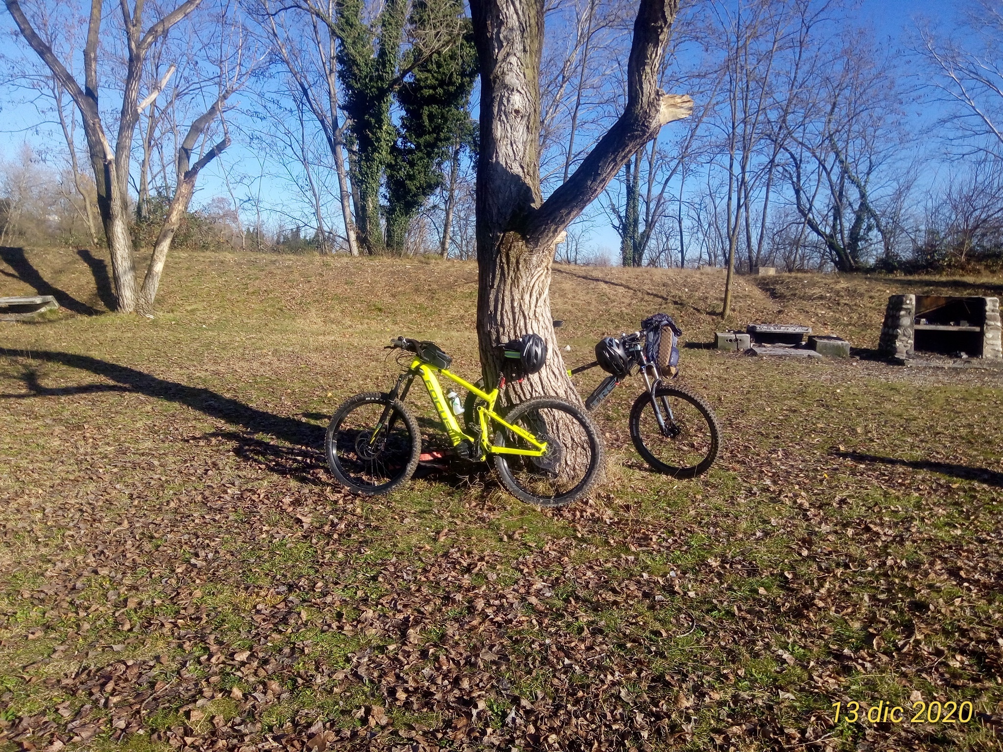 P_20201213_120854_p.jpg